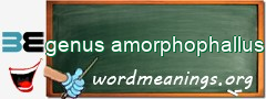 WordMeaning blackboard for genus amorphophallus